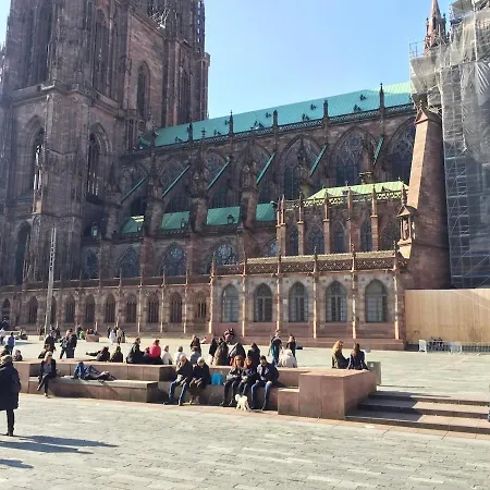 Appartement Ecologement Cosy Au Centre De Strasbourg