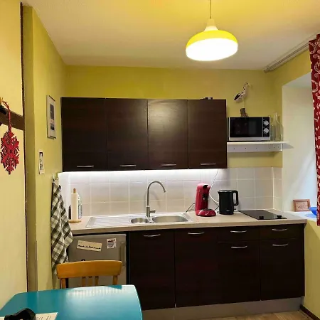 Ecologement Cosy Au Centre De Apartment