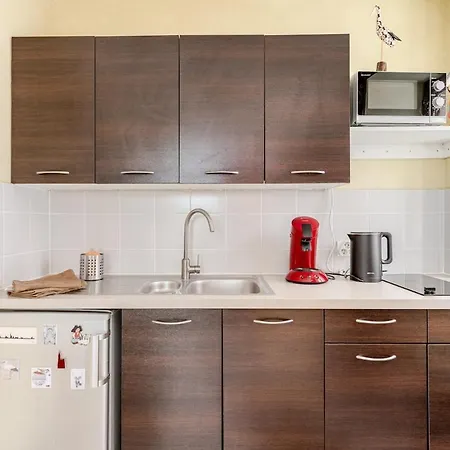 Ecologement Cosy Au Centre De * Strasbourg