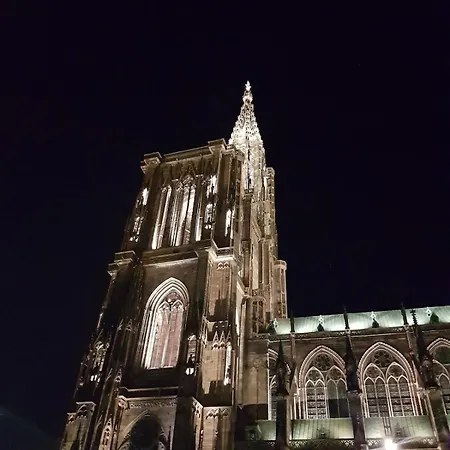 Ecologement Cosy Au Centre De Strasbourg