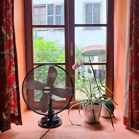 Ecologement Cosy Au Centre De Apartment *