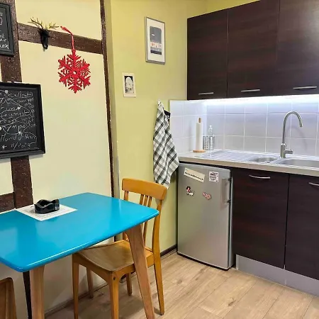 Ecologement Cosy Au Centre De Strasbourg