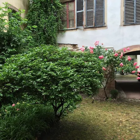 Ecologement Cosy Au Centre De Lägenhet Strasbourg