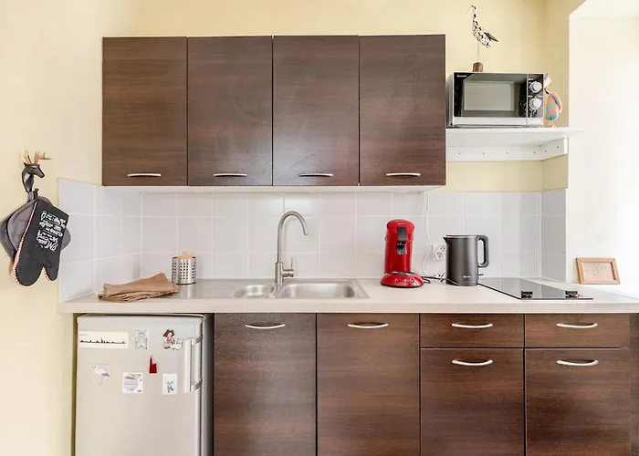 Ecologement Cosy Au Centre De * 斯特拉斯堡