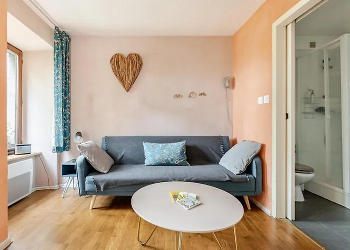 Ecologement Cosy Au Centre De 公寓 斯特拉斯堡