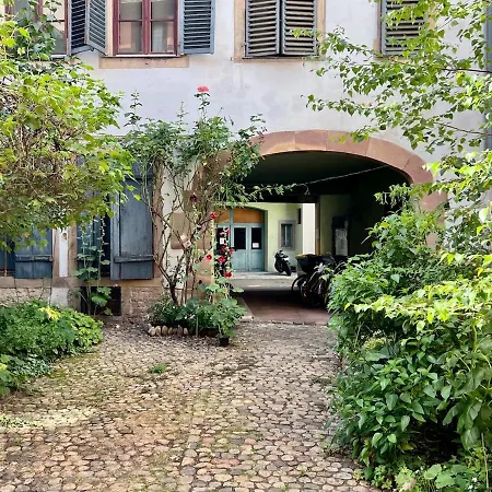 Ecologement Cosy Au Centre De Strasbourg