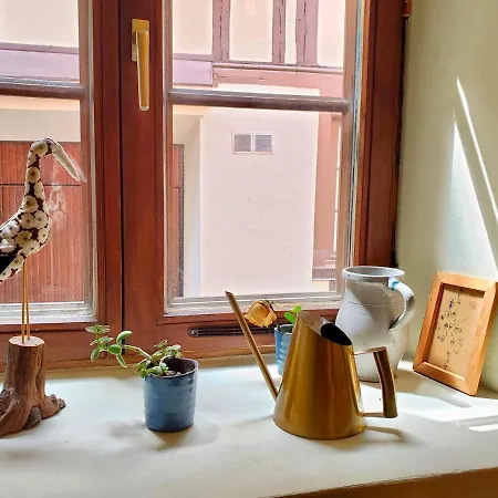 Ecologement Cosy Au Centre De Apartman *