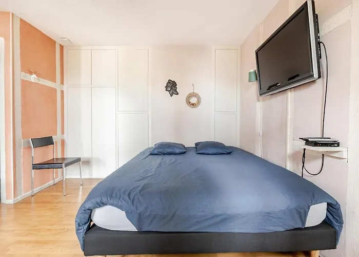 Ecologement Cosy Au Centre De Strasbourg