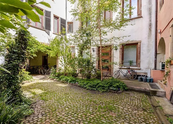 Ecologement Cosy Au Centre De * Strasbourg