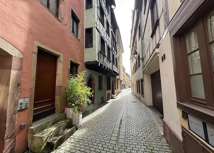 Ecologement Cosy Au Centre De