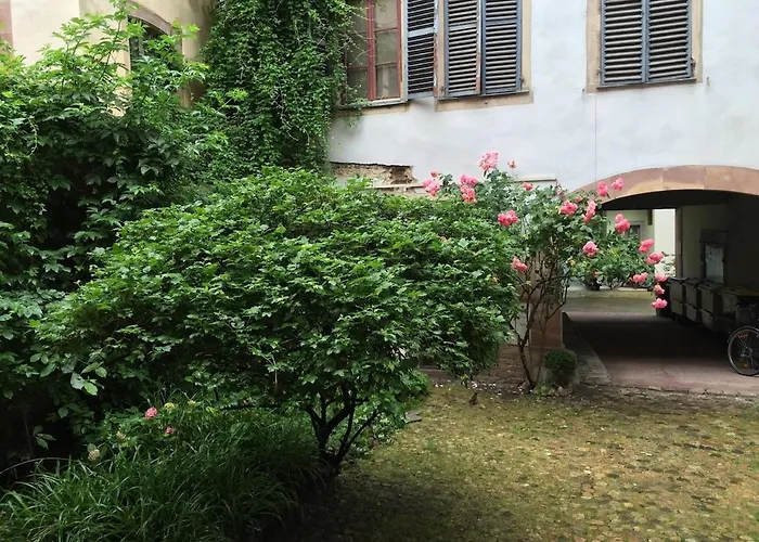 Ecologement Cosy Au Centre De Apartman Strasbourg